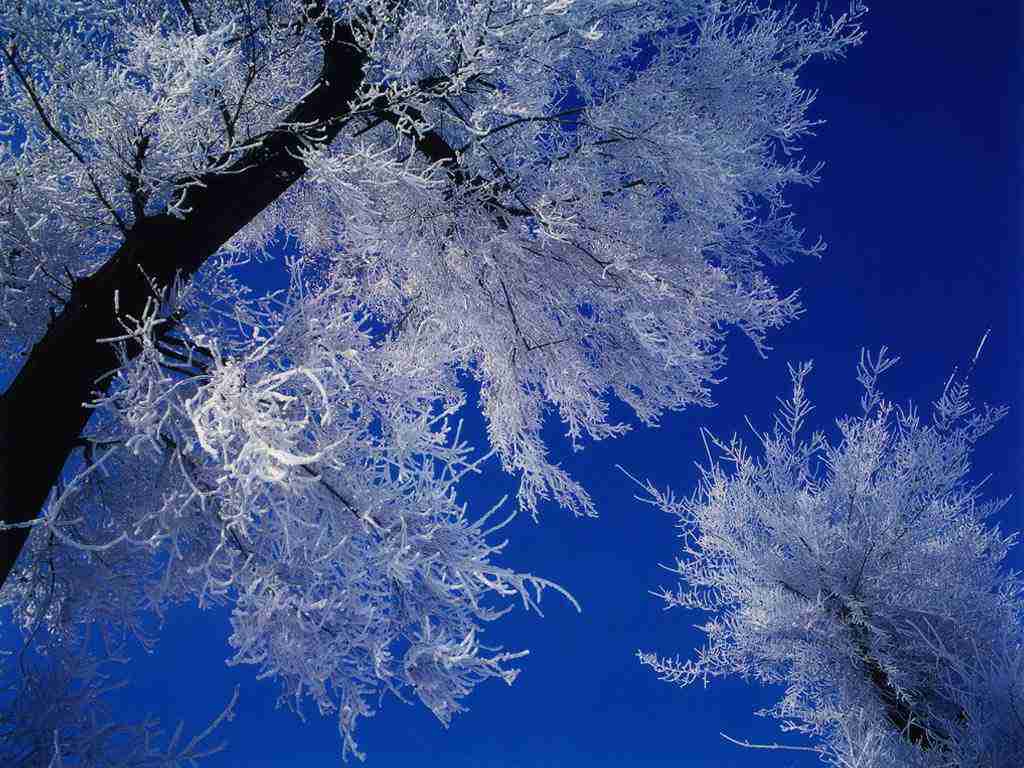 中国青年政治学院校花孔清辞 中国青年政治学院校花孔清辞