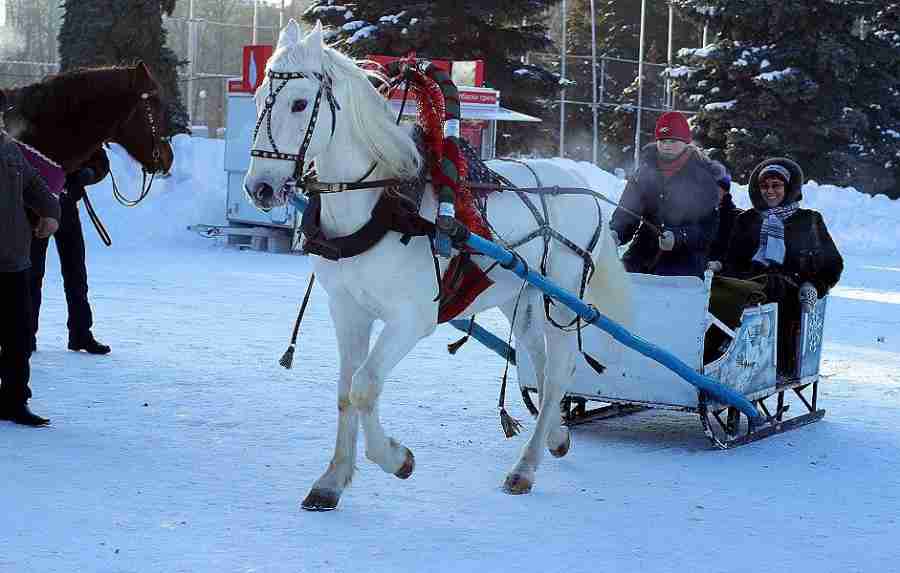 中央民族大学校花姜乐柠